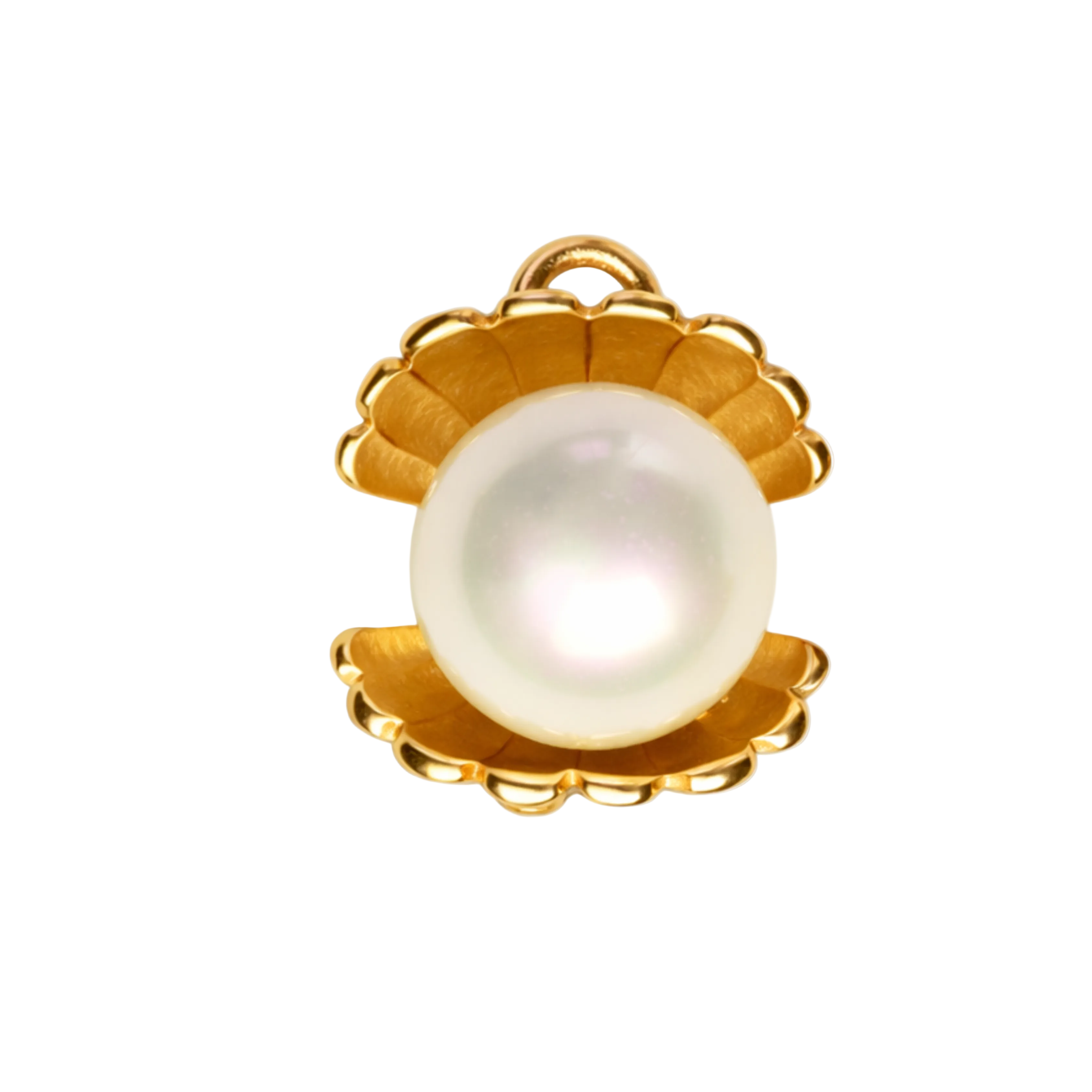 TREASURE SHELL charm  - GYLLT