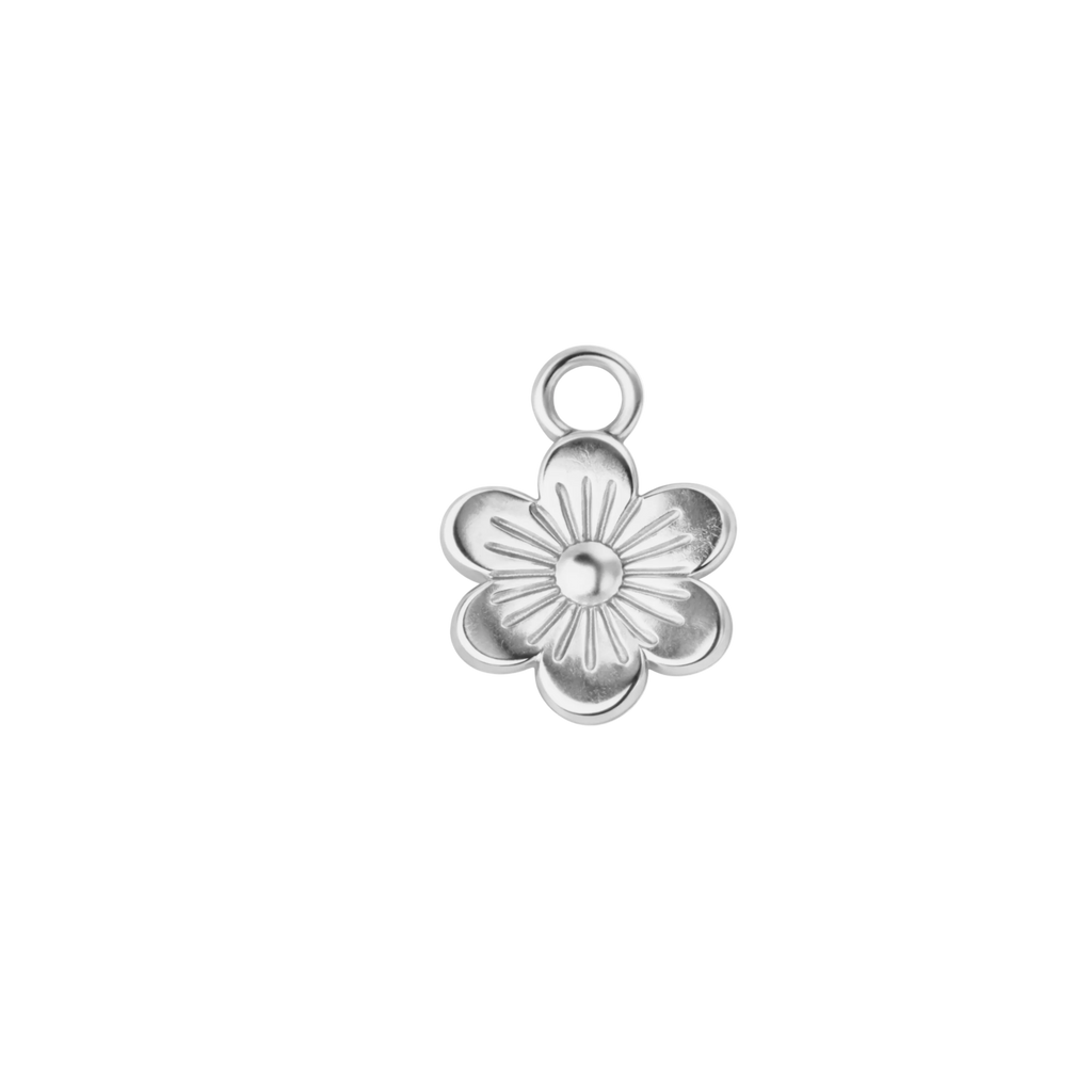 DAISY charm  - SILFRAÐ