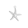 MINI KROSSFISKUR - charm SILFRAÐ