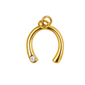 WISHBONE charm  - GYLLT