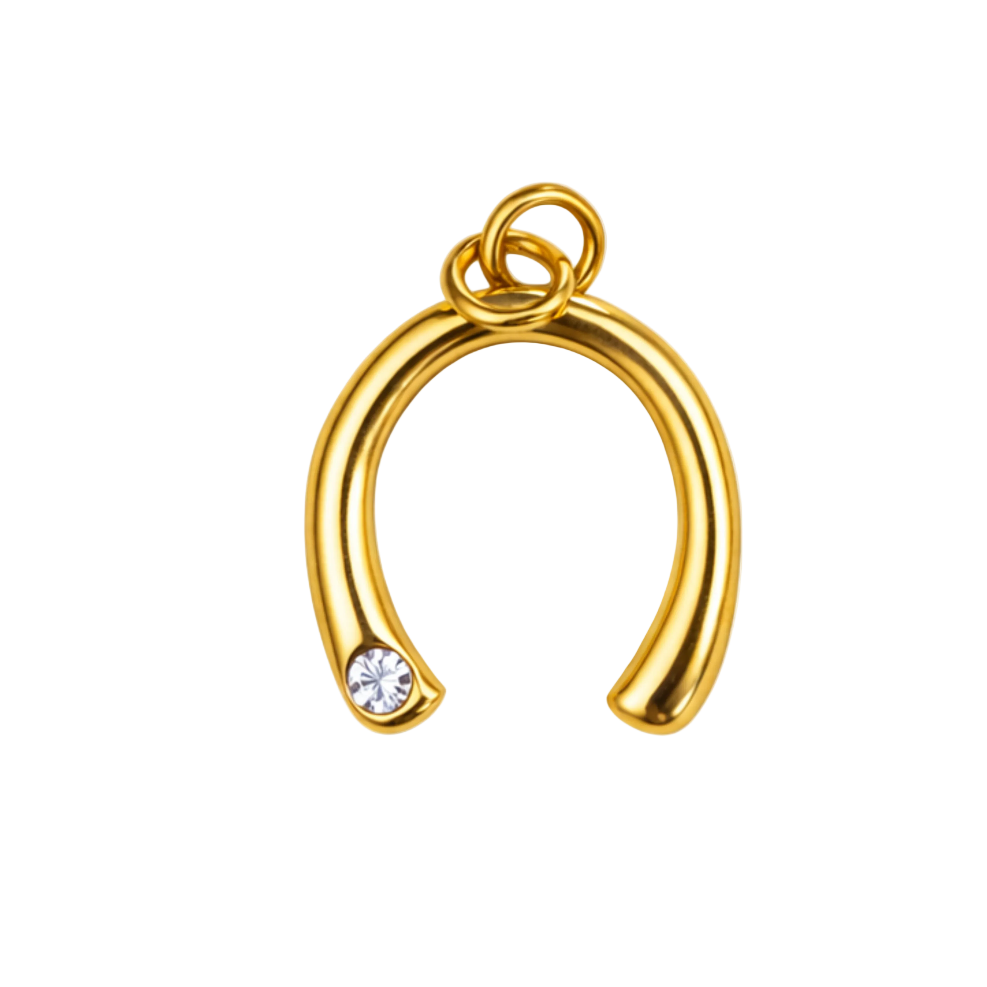 WISHBONE charm  - GYLLT