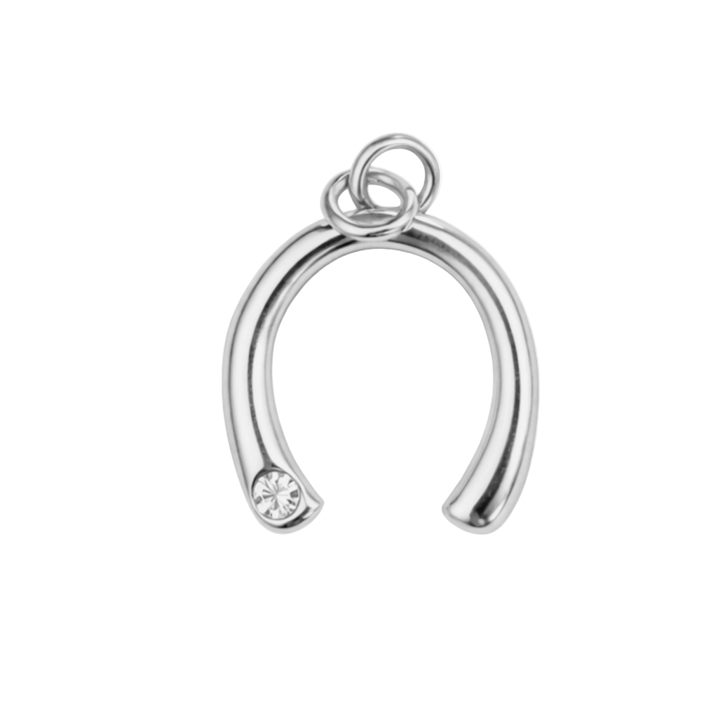 WISHBONE charm  - SILFRAÐ